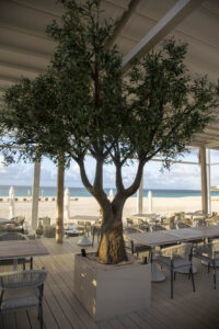 Savi Beach Club Anguilla 51